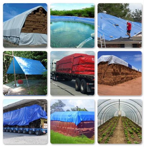 篷布：守護您的世界，從細節開始